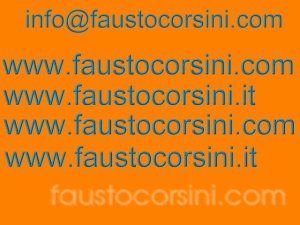 29-02-2008 - info@faustocorsini.com