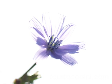67 (67 2005) - 