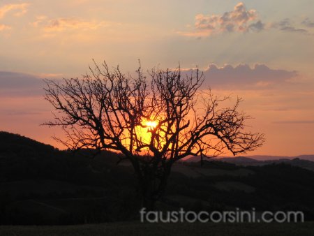 foto analogiche - 