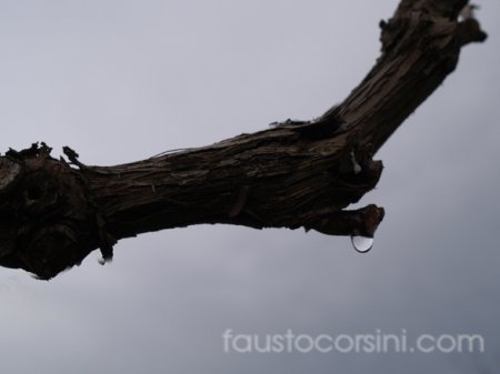 marzo 2007 - 