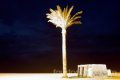 Mostra dettagli della fotografia