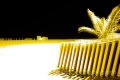 Mostra dettagli della fotografia